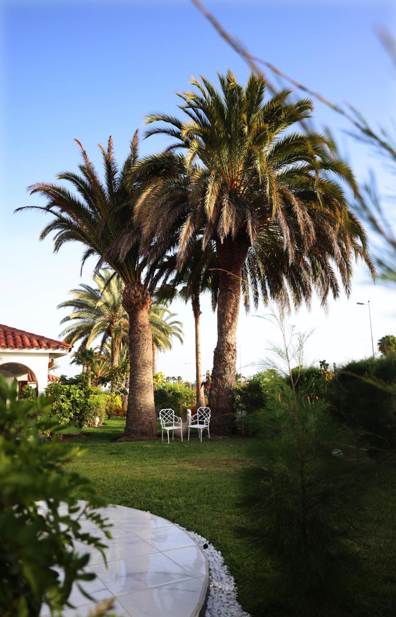 Готель Sun Club Playa Del Ingles Екстер'єр фото